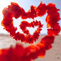 The Velocity of Love